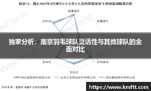 独家分析：南京羽毛球队灵活性与其他球队的全面对比