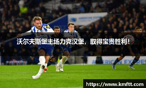 沃尔夫斯堡主场力克汉堡，取得宝贵胜利！